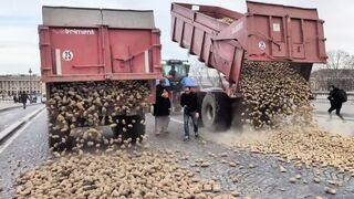 French farmers dump potatoes in front of the French Parliament