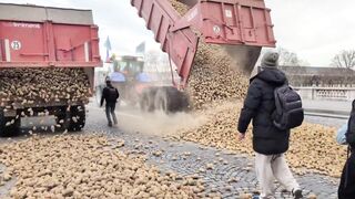 French farmers dump potatoes in front of the French Parliament