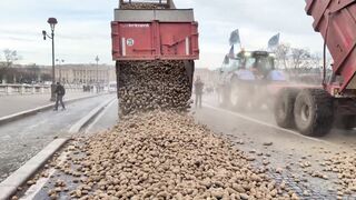 French farmers dump potatoes in front of the French Parliament