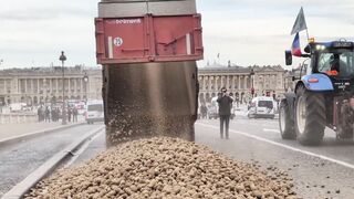 French farmers dump potatoes in front of the French Parliament