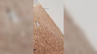 Israeli Air Force: helicopter crashes due to cable failure mid-air