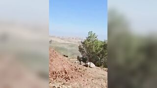 Israeli Air Force: helicopter crashes due to cable failure mid-air