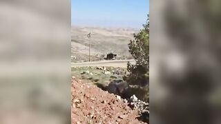 Israeli Air Force: helicopter crashes due to cable failure mid-air