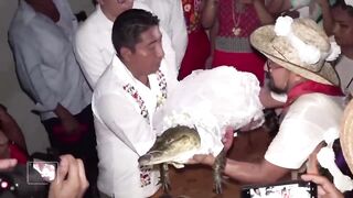 Mexican Mayor Marries an Alligator!