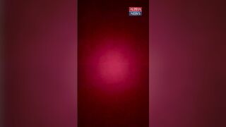 Leftist parasites are accosting anyone they think may be ICE or proICE in Minneapolis