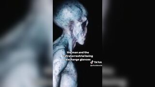Video shows Alleged REAL Footage of Alien and a Group of Agents