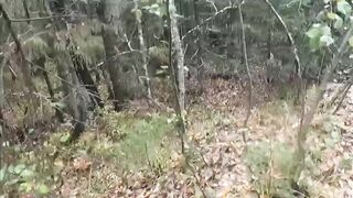 Bear Charged Russian Man. The Bear has 3 Cubs..I hope he doesn't Kill It