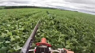 The Weak, Woke and Feeble European Mind Cannot Comprehend This.