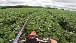 The Weak, Woke and Feeble European Mind Cannot Comprehend This.