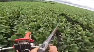 The Weak, Woke and Feeble European Mind Cannot Comprehend This.