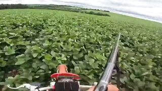 The Weak, Woke and Feeble European Mind Cannot Comprehend This.