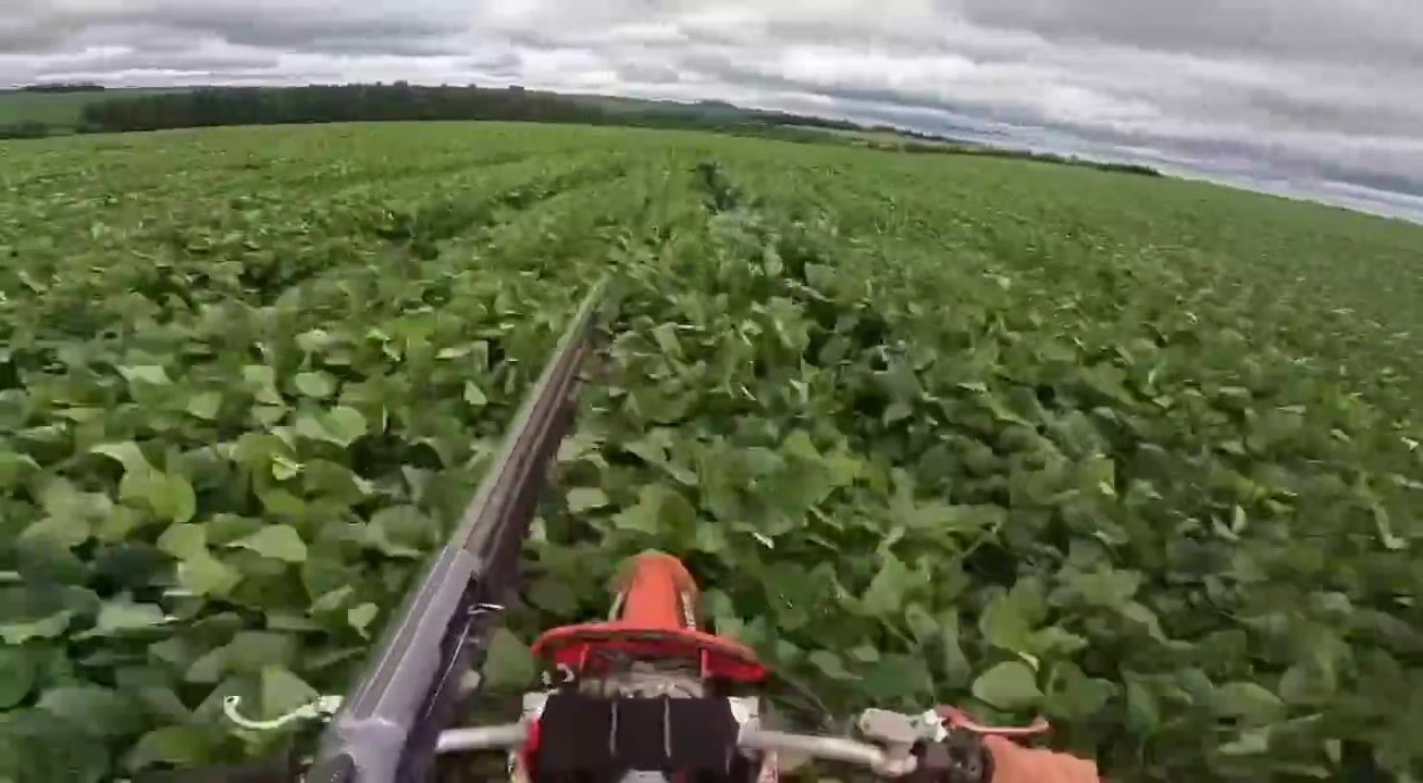 The Weak, Woke and Feeble European Mind Cannot Comprehend This.