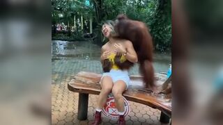 Does the Monkey just get to do this All Day and Get Away With It