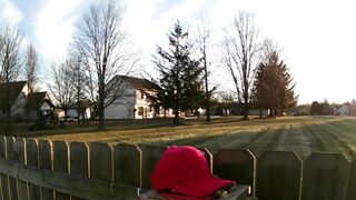 Man Training His Crows To Attack MAGA Hats