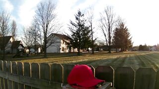 Man Training His Crows To Attack MAGA Hats