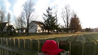 Man Training His Crows To Attack MAGA Hats