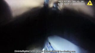 Suspect Shoots Officer With an Airsoft Pistol Before Officer Fires Back