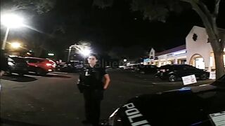 Pretty Drunk Driver Gets Frustrated With Police goes Absolutely Nuts