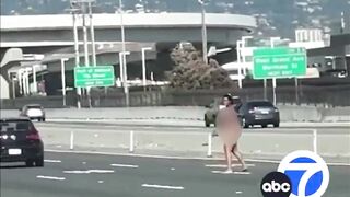 Naked California Woman with a Gun Opens Fire at Random Cars on the Freeway.