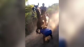 Girl unfortunatly not paying Attention is Killed by Horse