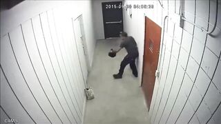 Thief becomes Exactly like a Trapped Rat