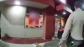 Armed man shot after he pointed a gun at officers in California