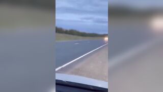 Is this the Drivers Fault? Animal Flies Hundreds of Feet