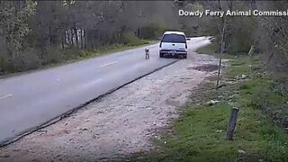 Heart Breaking Video shows Man Abandon his Dog on Side of Road (He was Arrested)