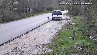 Heart Breaking Video shows Man Abandon his Dog on Side of Road (He was Arrested)