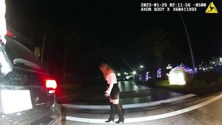 Pregnant Woman Attempts To Seduce Officer During Traffic Stop