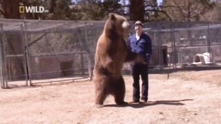 How Fast can a Grizzly Bear Kill You? 9 Seconds