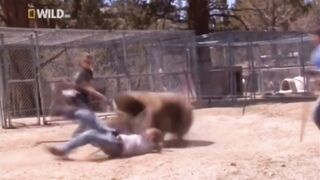How Fast can a Grizzly Bear Kill You? 9 Seconds
