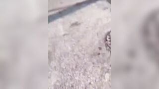 Woman throws her dog at man.....then see what happens