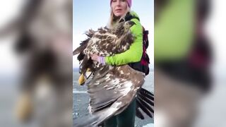 Beatuiful Huge Bird Killed by Wind Turbine