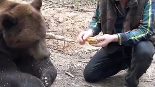 Whats in the McDonalds Big Mac that a GRIZZLY won't Even Eat It