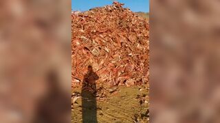 Creepy..Man Discovers Giant Pile of Bones