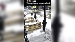 Usual Suspects Run Behind A Woman And Snatch Her Belongings