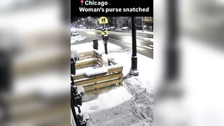 Usual Suspects Run Behind A Woman And Snatch Her Belongings