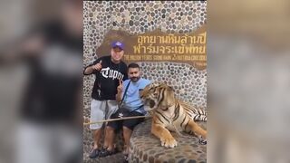Can You Take a Souvenir Picture of us with Tiger
