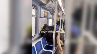 Call the police for what....They playing