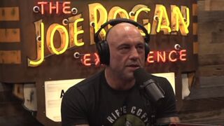 Joe Rogan & Mike Kimmel on "Experts" Using Genetically Modified Mosquitos to Vaccinate the Population