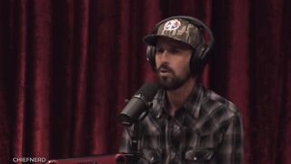 Joe Rogan & Mike Kimmel on "Experts" Using Genetically Modified Mosquitos to Vaccinate the Population
