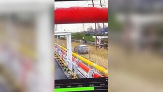 Man caught catching green iguana gets electrocuted! Horrifying footage of him "burning up" has been released.