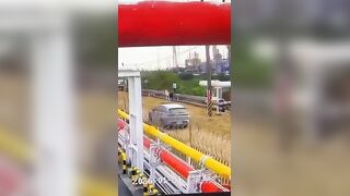 Man caught catching green iguana gets electrocuted! Horrifying footage of him "burning up" has been released.