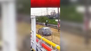 Man caught catching green iguana gets electrocuted! Horrifying footage of him "burning up" has been released.