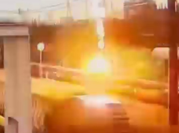 Man caught catching green iguana gets electrocuted! Horrifying footage of him "burning up" has been released.