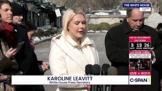 Karoline Leavitt just DECIMATED the Hollywood elitists at the Grammys