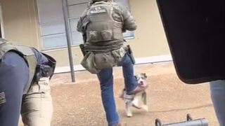 Did you have to Kick the Dog? Mr. Marshal