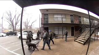 Did you have to Kick the Dog? Mr. Marshal