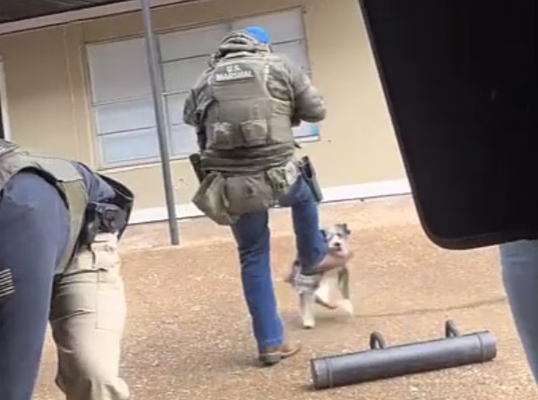 Did you have to Kick the Dog? Mr. Marshal